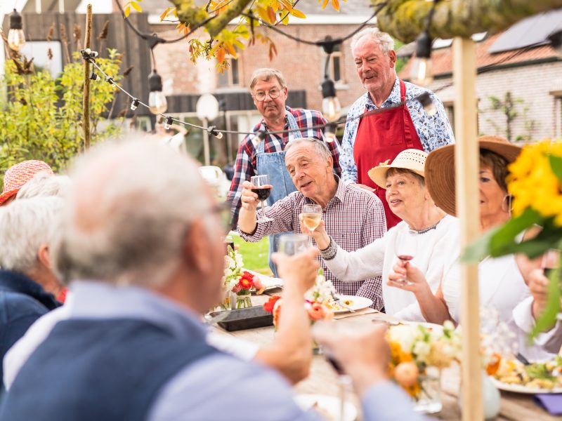 A group of seniors toasting and singing during a picnic in the countryside