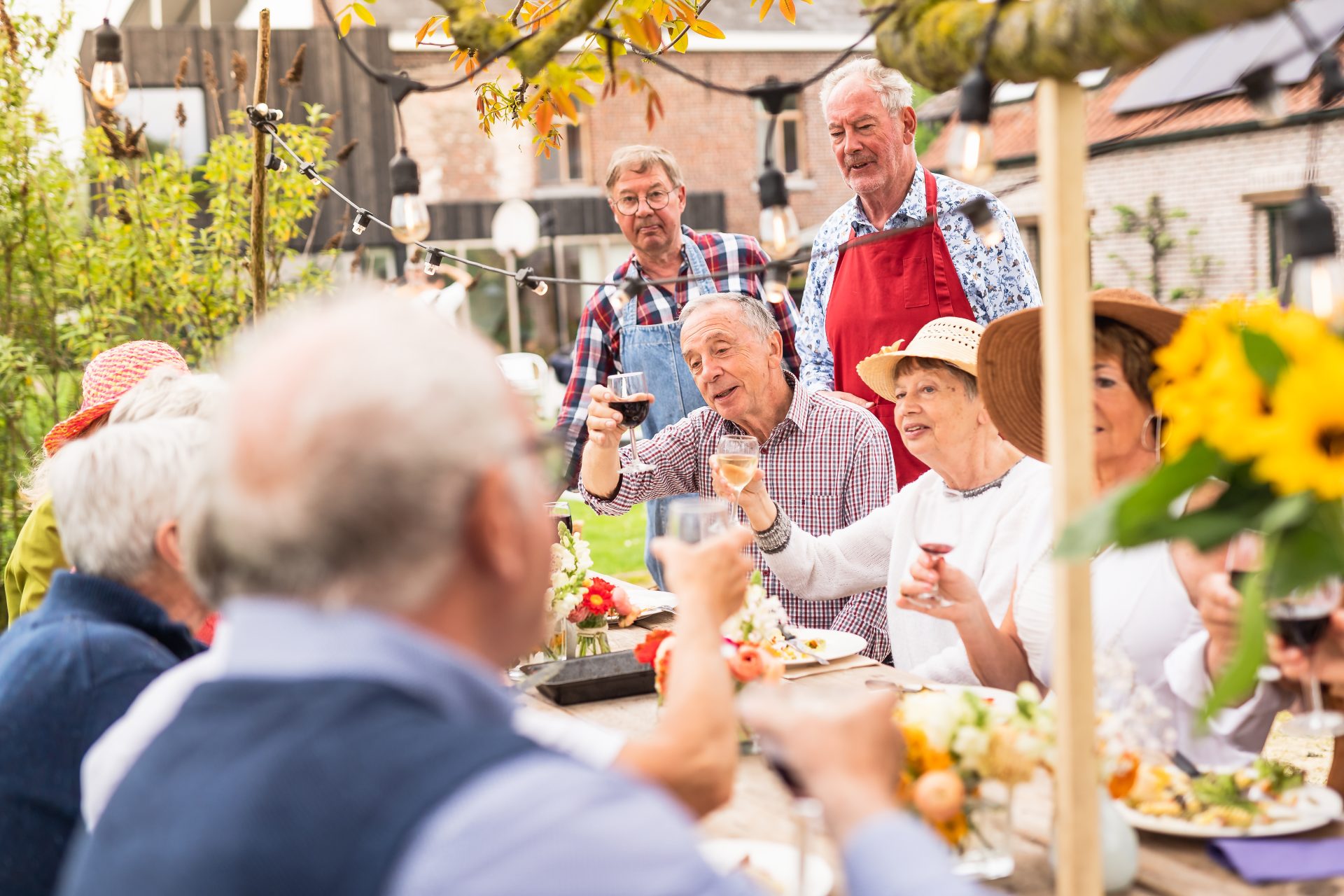 A group of seniors toasting and singing during a picnic in the countryside